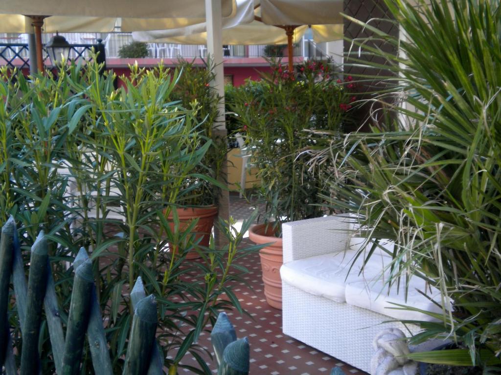 Hotel Nova Dhely Rimini Exteriér fotografie